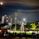 조례세차 이미지