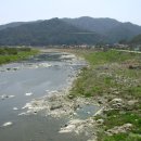 정바우 이미지