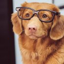 남대문안경 이미지