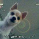 다 - 중랑구 | 다