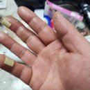 보라매동-12 이미지