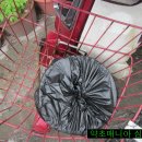 등대식당 이미지