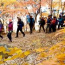 건강100세복지용구 이미지