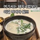 롯데몰성복점 | 성복역 롯데몰 식당 혼밥하기 좋은 몽실