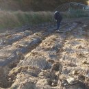 읍내6구 이미지