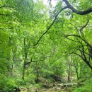 북한산 옹달샘 이미지