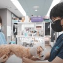 옥길아라동물의료센터 이미지