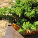 소나무 철물점 이미지