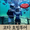 단양군시티투어 | 코타키나발루 호핑투어 씨워킹, 패러세일링 후기｜제셀톤 선착장 흥정, 시세, ATM 정보