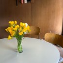 아틴해우 이미지