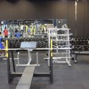 팀바디매스 이미지