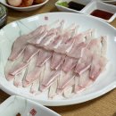 목포 로컬이 추천한 찐맛집 ‘홍길동 선어회’ 덕자회 먹고 충격 받은 이유