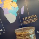 ROJIN(로진) 이미지