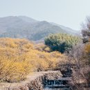 상위마을 입구 이미지