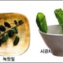 아름답게 나이 들기 위한 ‘파이토 컬러’ 음식 제안 - 그린푸드, 간·정신 건강의 ‘푸른 활력’ 이미지