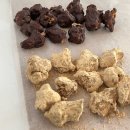 밀가루 NO 쌀로만들어요(쌀베이킹) | [수업안내] 비건 현미 쌀베이킹 (글루텐프리) 4주 정규반 커리큘럼 (2026년)