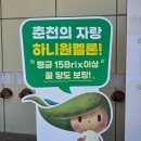 춘천원예농업협동조합하나로마트 | 천안 춘천 주말부부 일상 / 춘천에 독점 멜론 품종이? 하니원 멜론 후기(feat. 수신 멜론🍈)