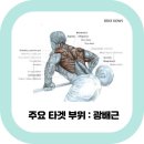 턴핏 이미지