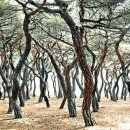 양반촌 - 제주시 서광로5길 29 | 양반촌