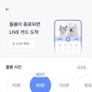 강아지 와요와요 네이버블로그