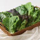 (주)드림볼 이미지