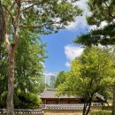 꽃별당 | 대전 조선시대 보물 회덕 동춘당 별당 동춘당역사공원 송준길 송시열