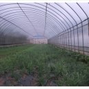 늘푸른건강마을 이미지