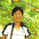 클로바농장 이미지