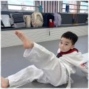 즐거운태권도 | 새움초태권도 아이들이 성장하는 즐거운 공간, TL태권도 후기