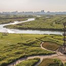 갯골생태공원 이미지