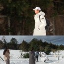 효리네 민박 이미지