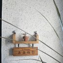 이슬미스테이 이미지