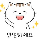 제주엔젤풀빌라 이미지