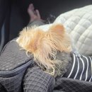 롯데리아키즈마트부산점 이미지