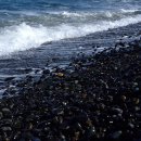 (주)금빛물고기 이미지