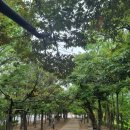 박물관역 이미지