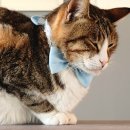 별이랑 놀자 이미지