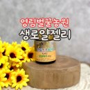 국내산 로얄젤리 영림벌꿀농원 생로얄젤리