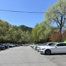 519비어 | 강원도 영월 단종문화제 축제 영월장릉