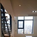 상남동157 이미지