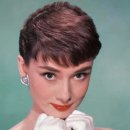 1950년대 최고의 미녀 배우는 누구일까? 이미지