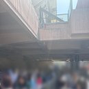 픽미픽미아이스새강점 | 인천 SSG랜더스필드 외야 그린존 시야/문학구장 그린존 시야