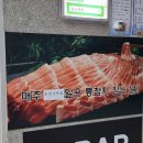 늘푸른참치