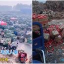 중국 곳곳에서 농산물 가격이 폭락하고, 수박과 토마토가 황무지로 던져진다(영상) 이미지