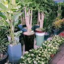 광명농원 이미지