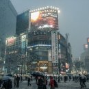 원어민 일본어회화 이미지