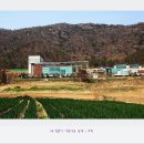 아리랑마을관광지 이미지