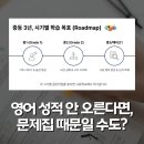 마스터독 MASTER DOG | 중학교 영어 문제집 추천 문법, 어휘, 독해별 선택 기준 정리