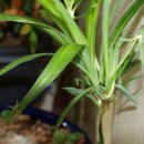 봄바람하우스 이미지