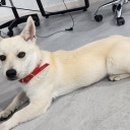 호은농장 이미지